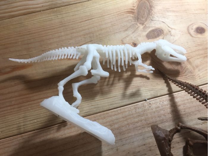 4 puzzles 3D dinosaures - photo numéro 9