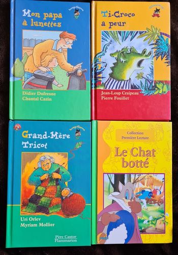 Lot de 4 livres albums 1ers romans en très bon état