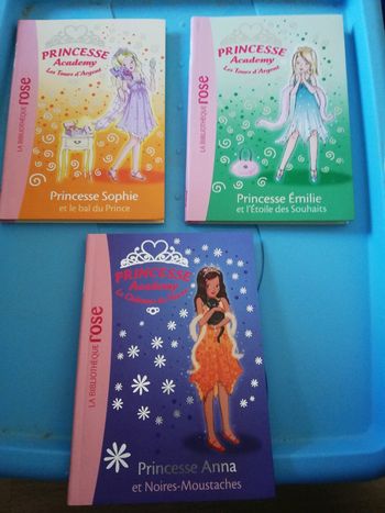 Livres princesse academy