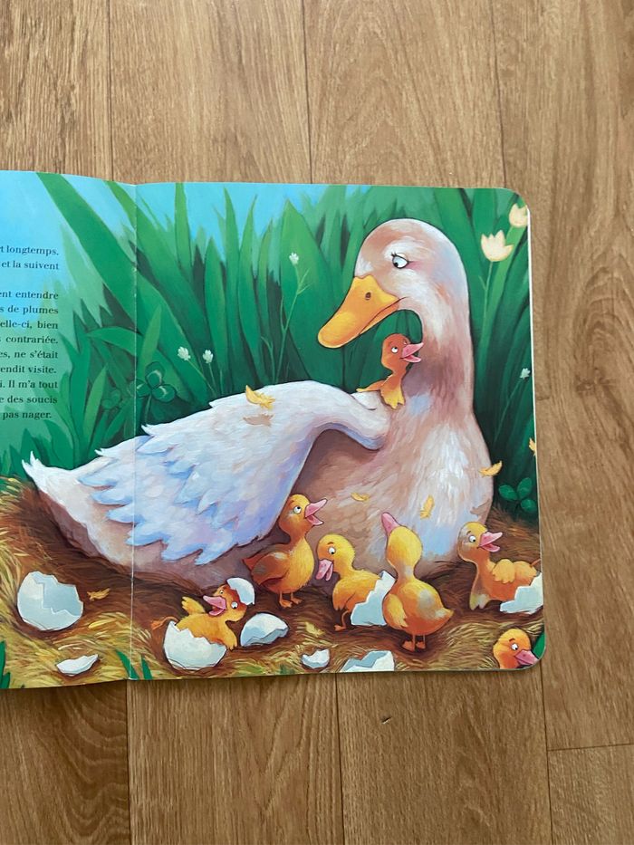 Livre le vilain petit canard - photo numéro 4