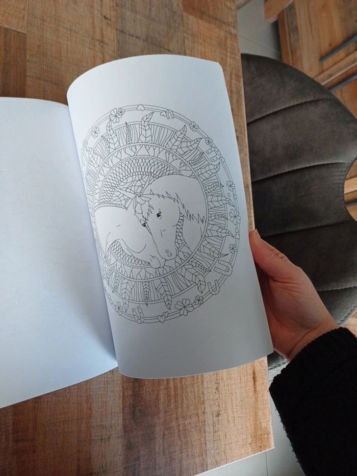 Libre de coloriage Licorne mandala et autres. - photo numéro 11