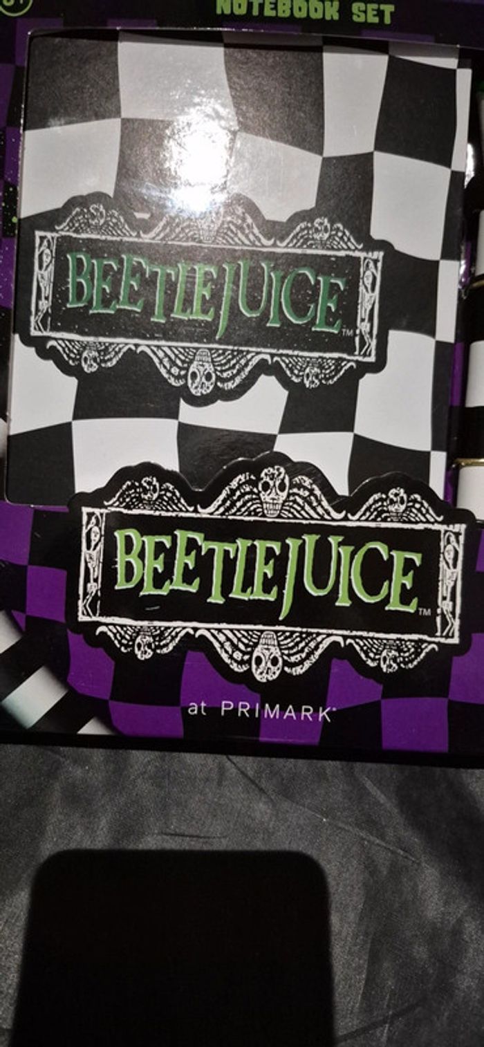 Cahier er stylo beetlejuice - photo numéro 4