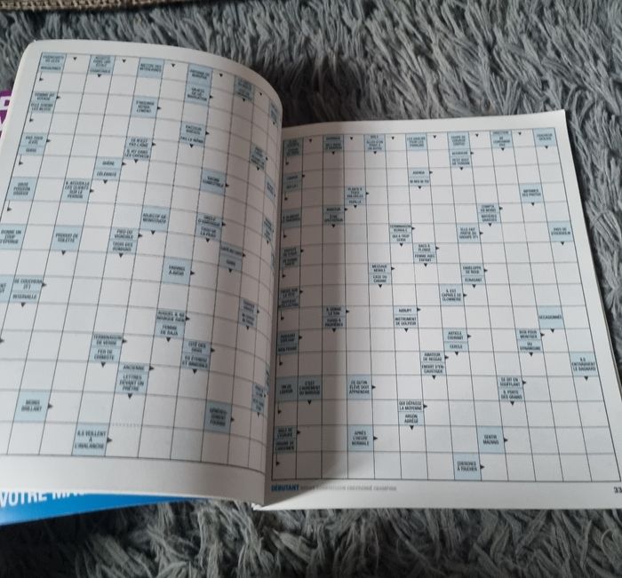 Livre de jeu fléchés (débutant) niveau 1 (83grilles) - photo numéro 3