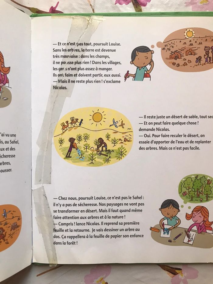 Livre « Kézako? Les plantes » de Philippe Nessmann - photo numéro 3