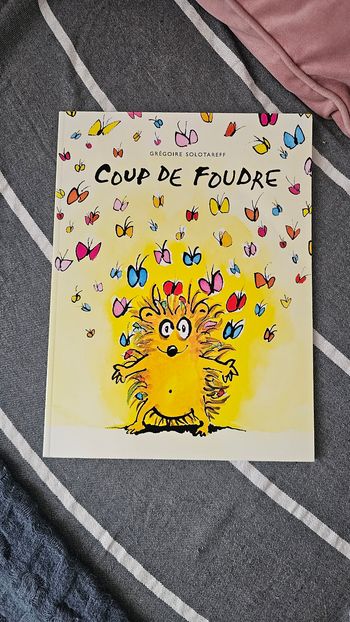 Livre enfant Coup de foudre – Excellent état – École des loisirs