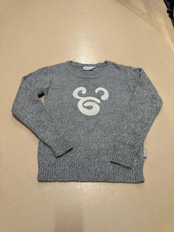 Pull Disneyland 14 ans