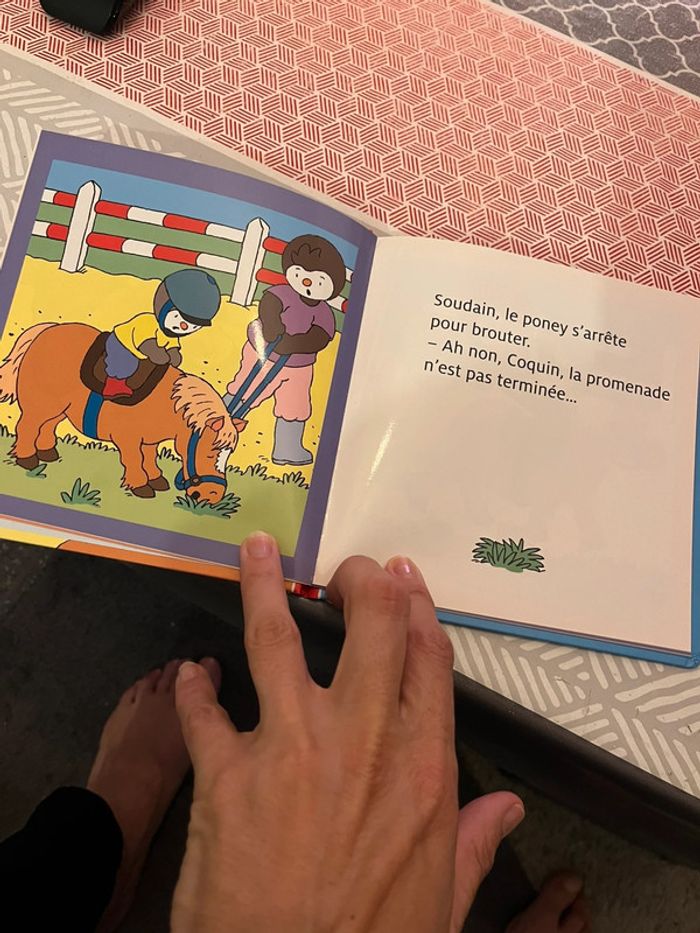 Livre tchoupi - photo numéro 3