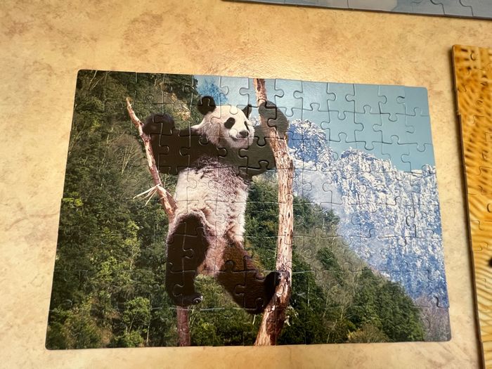 Lot de puzzles animaux - photo numéro 4
