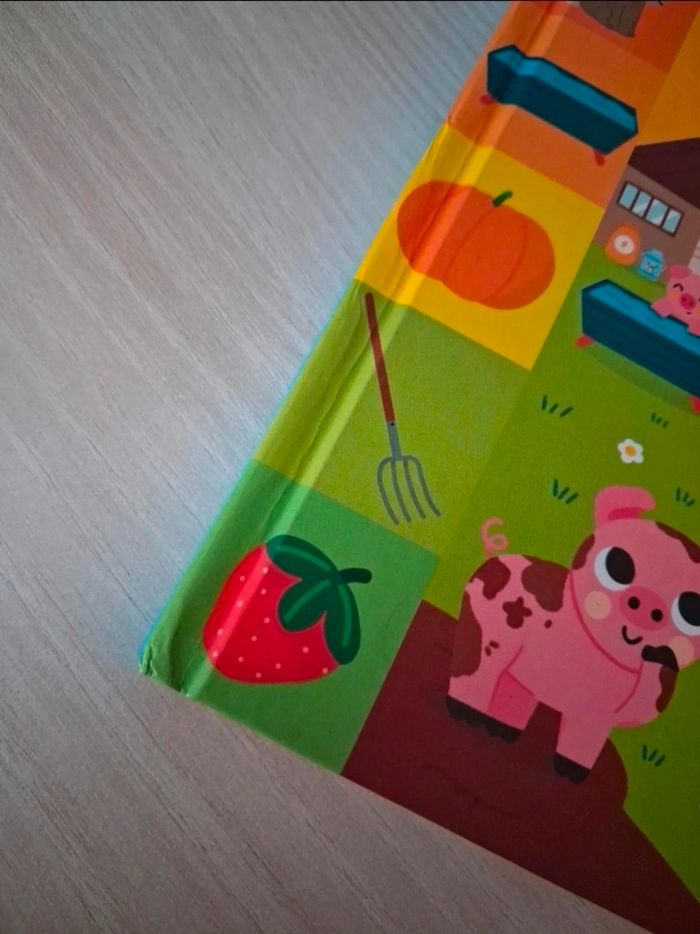 Mon incroyable cherche et trouve - photo numéro 5