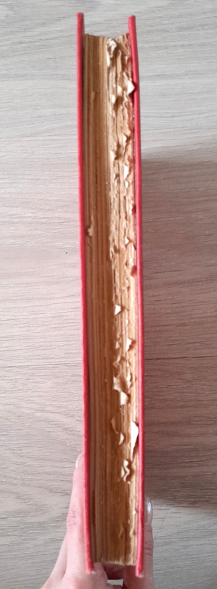 F. Battanchon - L'oncle Tim - photo numéro 3