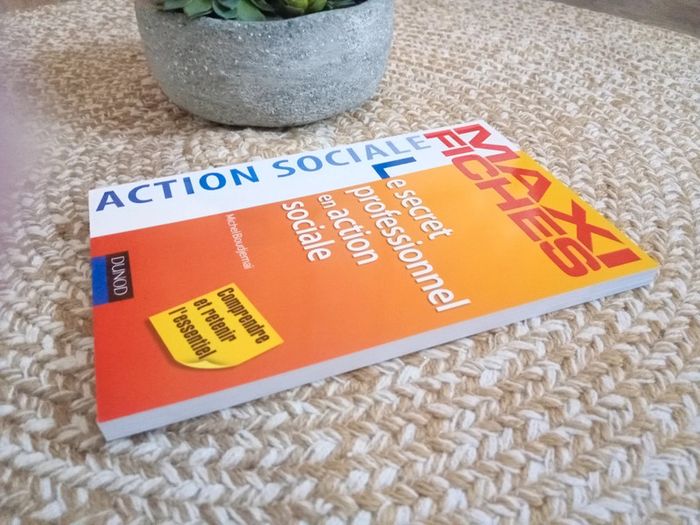 Maxi Fiches Le secret professionnel en action sociale - photo numéro 3