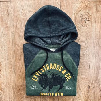 Pull/sweat à capuche vert et gris Levi Strauss & Co spour homme, taille S