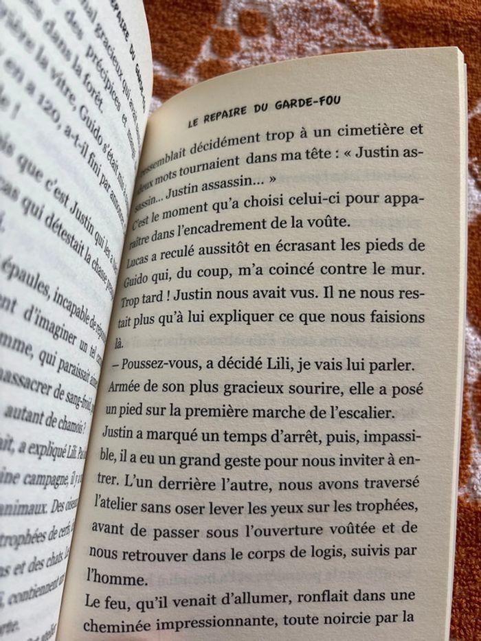 Le repaire du garde-fou - photo numéro 3
