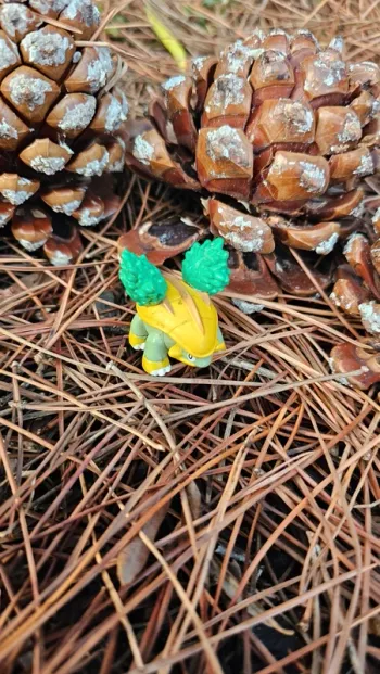 Super figurine Pokemon Nintendo Boskara