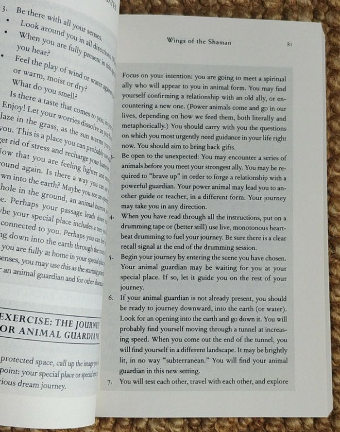 Dreamgates de Robert Moss (2010) - photo numéro 13