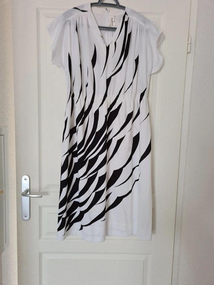 Robe zébrée parisienne Vintage