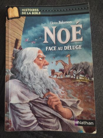 Noé Face au déluge de Flore Talamon