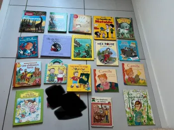 Lot de 18 livres divers thèmes