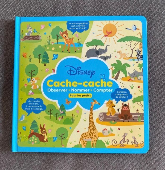 Disney cache cache pour les petits