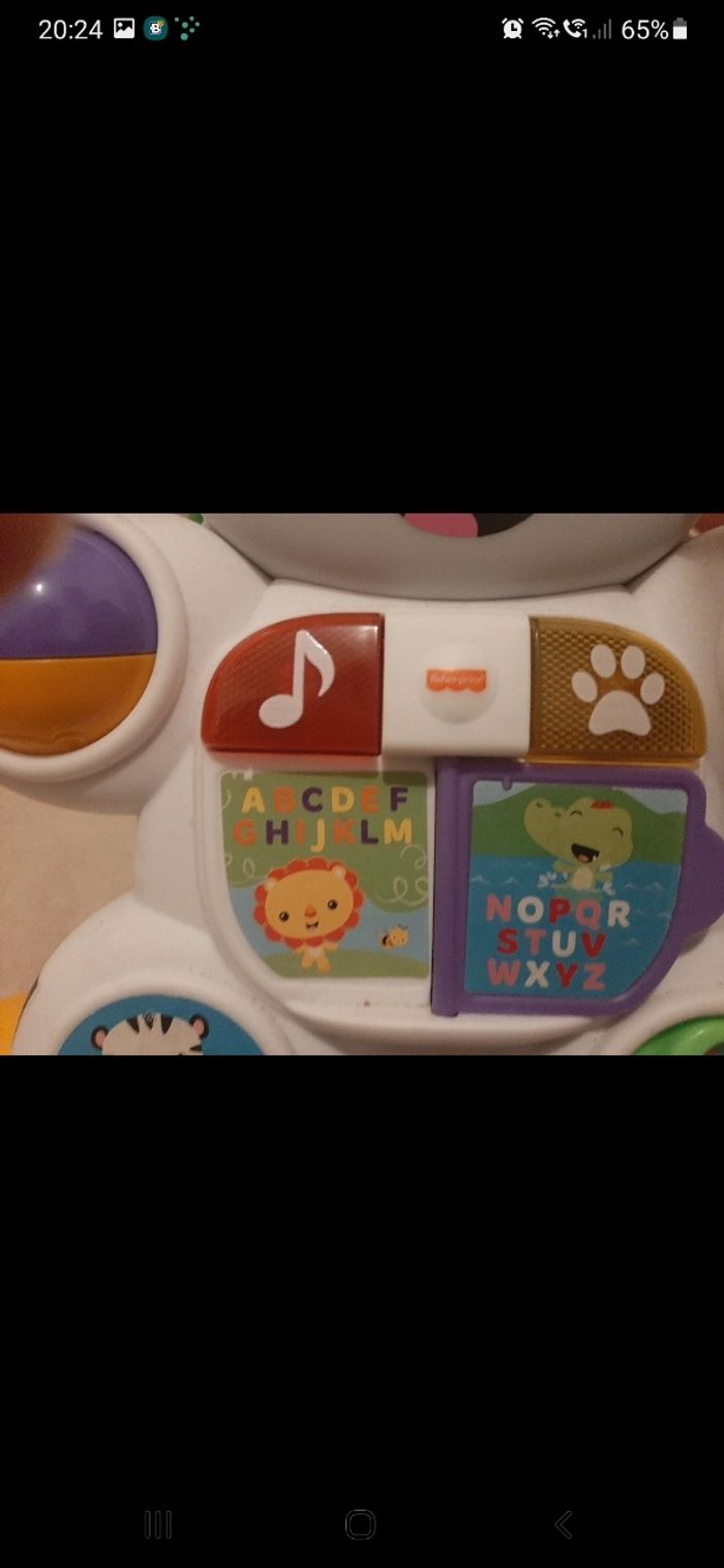 Trotteur zèbre - photo numéro 2