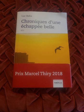 Chroniques d'une échapée belle