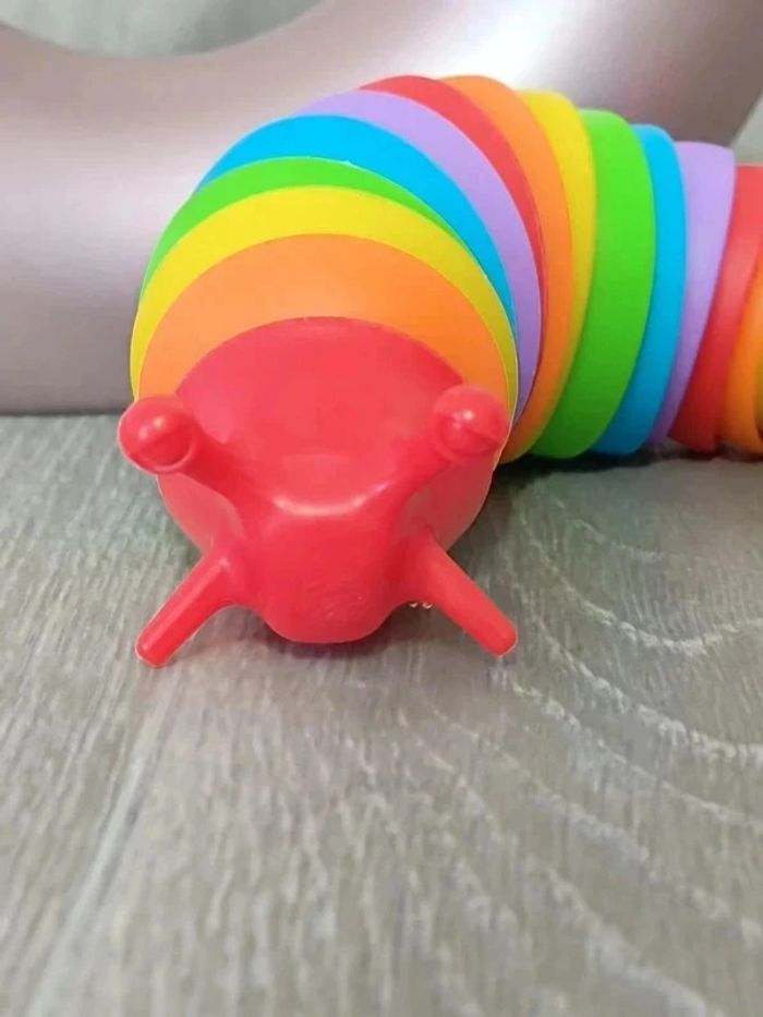 Limace articulée arc-en-ciel - photo numéro 2
