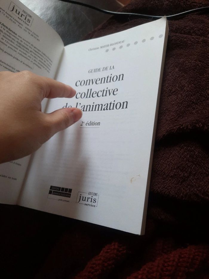Ĺivre guide de la convention collective de l'animation pr d - photo numéro 8