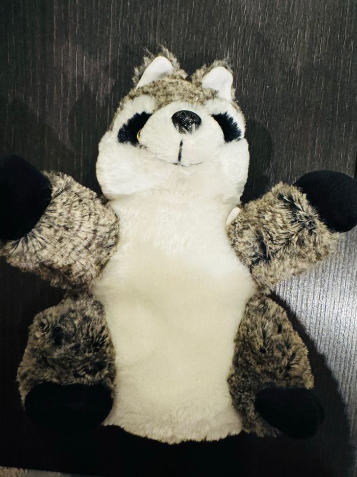 Raton laveur - photo numéro 2