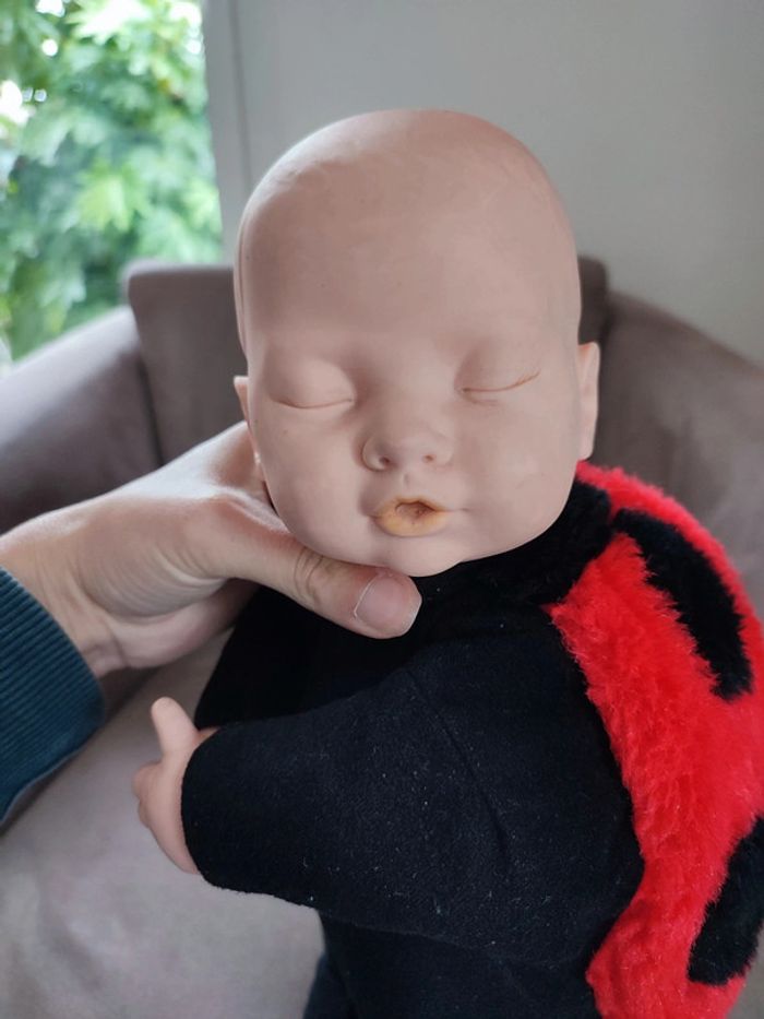 Bébé coccinelle Anne Geddes - photo numéro 4