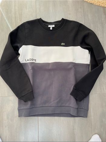 Sweat Lacoste
