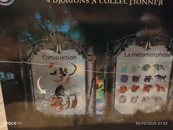 Dragon - photo numéro 5