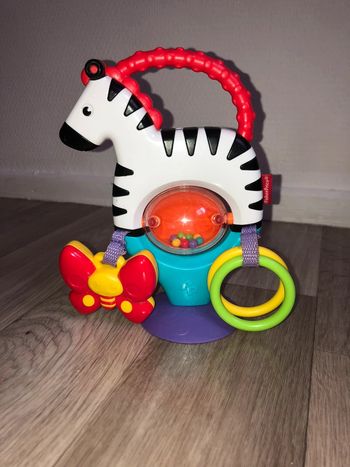 Zèbre d’activité