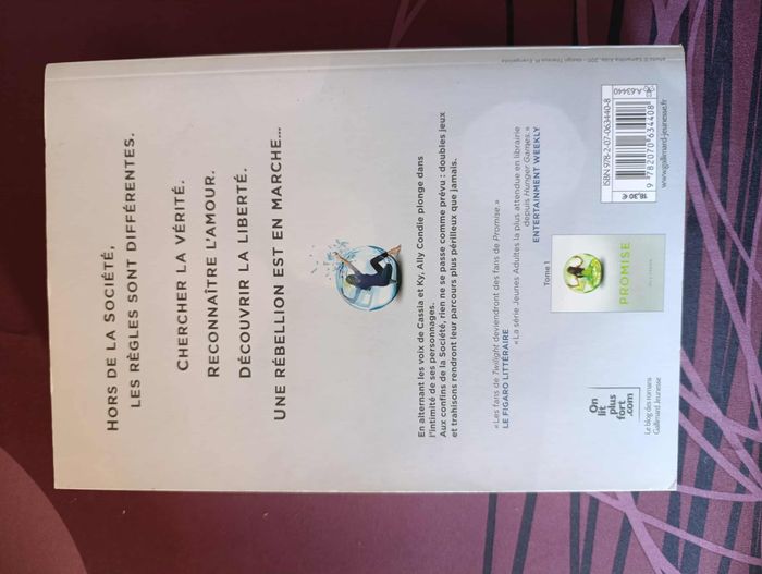 Insoumise d'Ally Condie - photo numéro 3