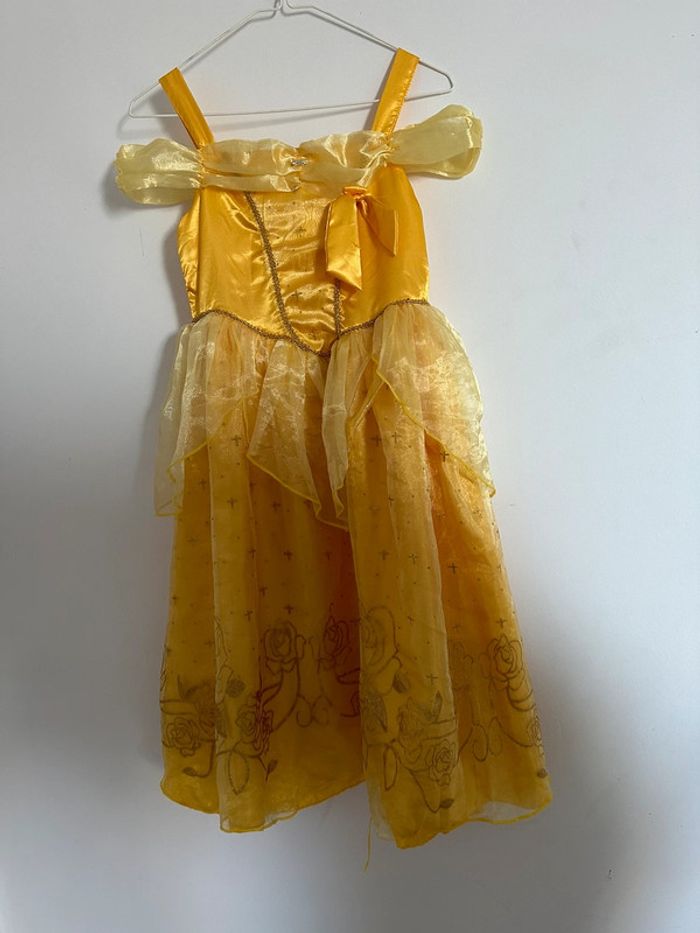 Robe princesse - photo numéro 2