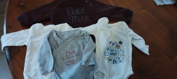 Lot 3 bodies + 1 pull taille 3 mois