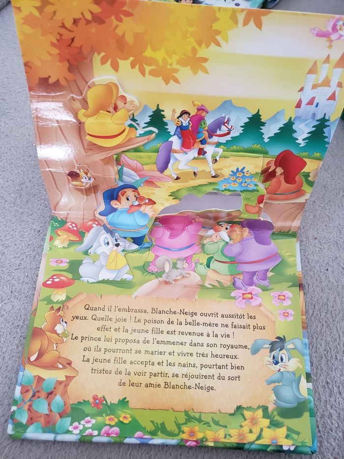 Livre pop up - photo numéro 10