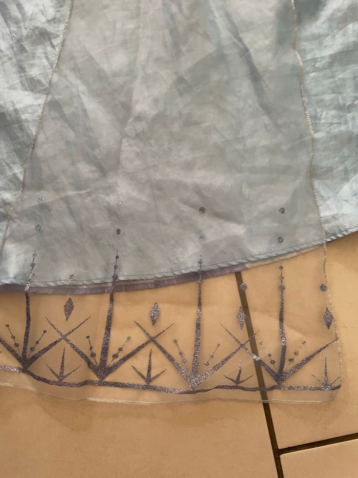 Deguisement disney frozen 2 - photo numéro 6