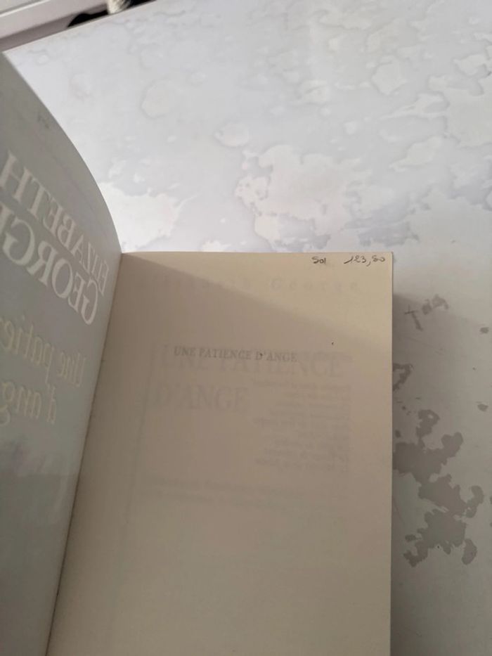 Livre une patiente d’ange - Elizabeth George - photo numéro 4
