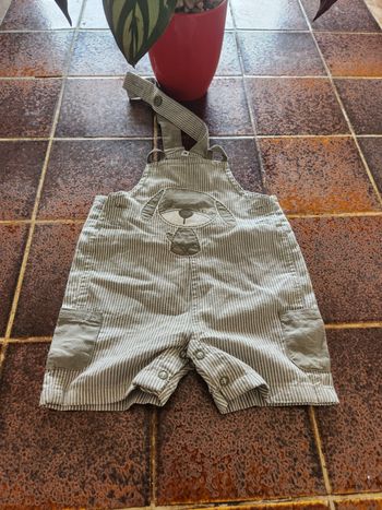 Salopette short