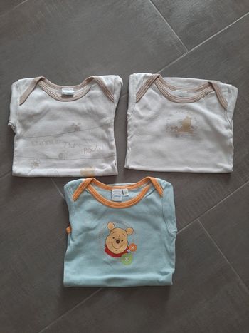Lot 3 bodies manches courtes bébé 18 mois