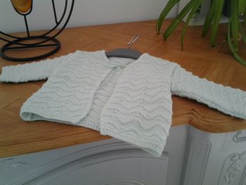 Gilet vert pâle