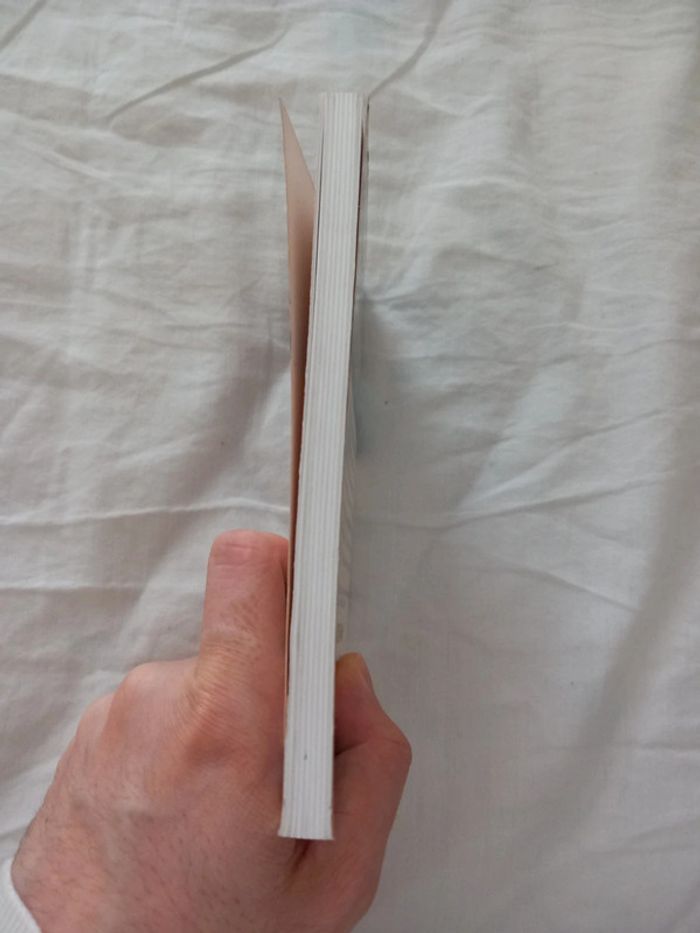 L'incroyable voyage - photo numéro 4