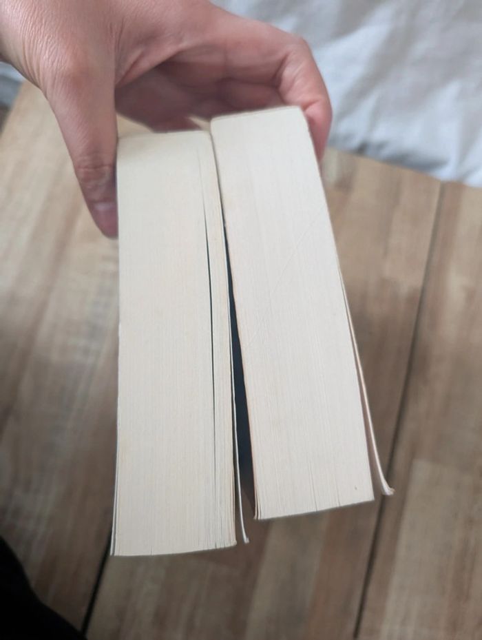 Lot livres Quand le Dogme chassa la Lumière - photo numéro 9
