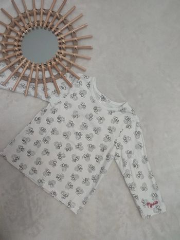 Haut Disney orchestra