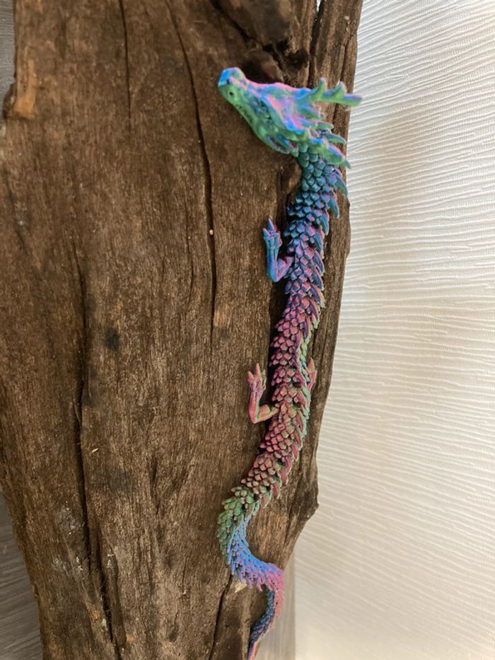 Dragon multicolore