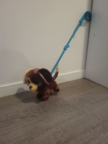 Chien Furreal grand marcheur