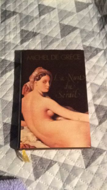 #la nuit du Sérail par Michel De Grèce