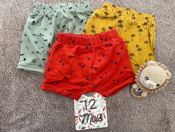 Trio short coloré