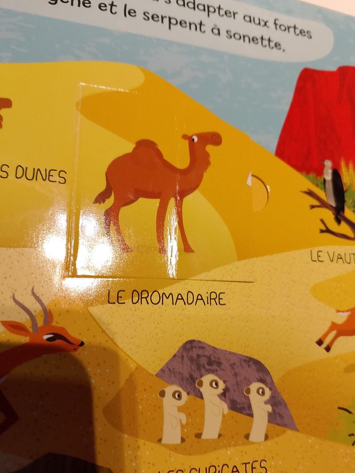 Les animaux du monde mes premiers docs sonores gründ fonctionne - photo numéro 5