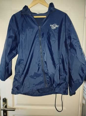 Coupe vent naturel forest